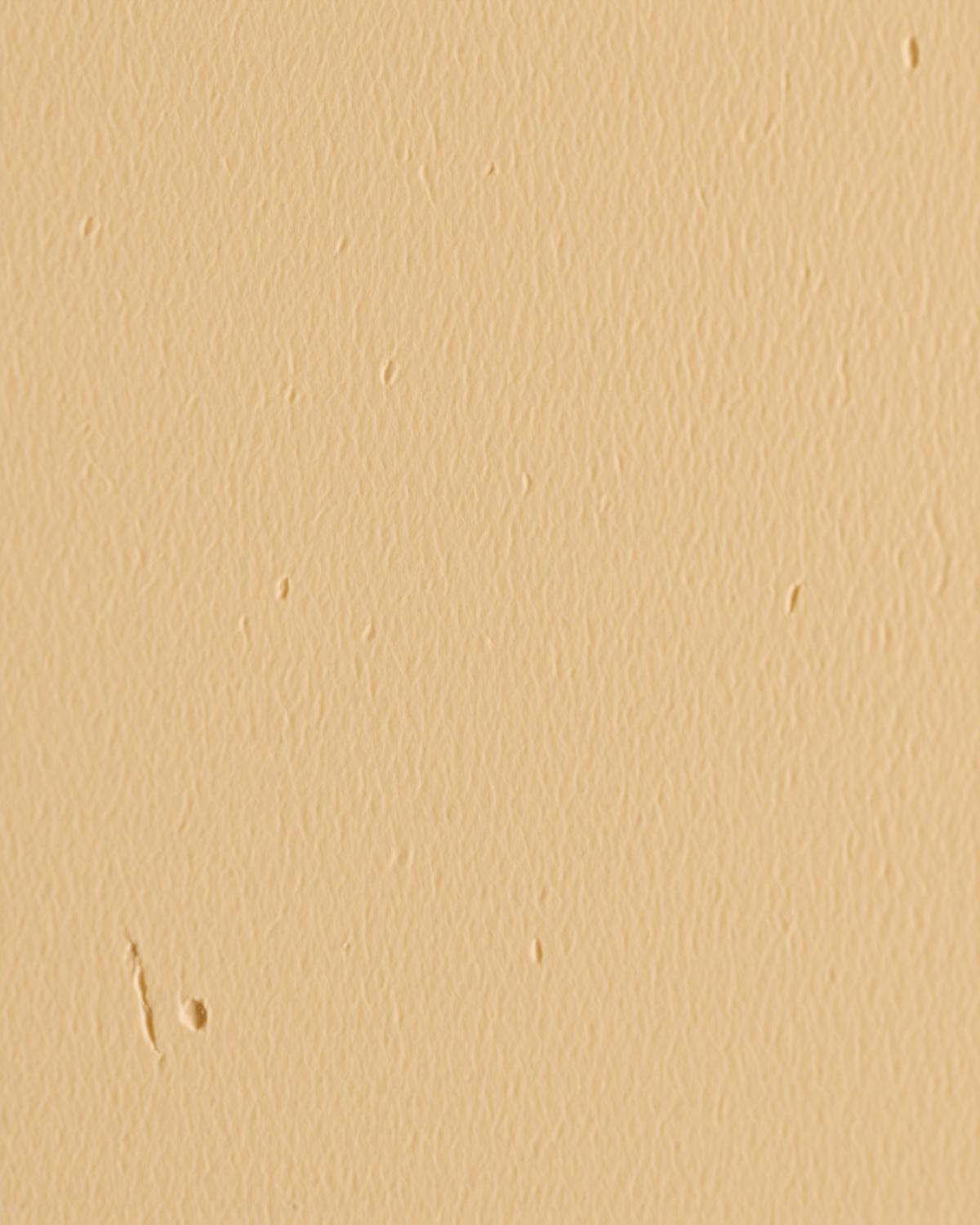 Lime Plaster